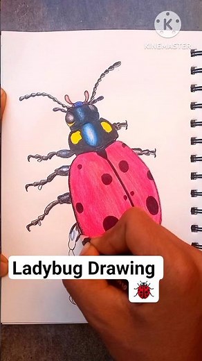 How Tob Draw Ladybug ?🐞 Ladybug Drawing Ladybug 😍 Coloring ? #shorts #art #drawing #viral #artist
