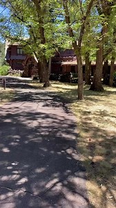 2.3K views · 55 reactions |  A professional beekeeper recently helped Riordan Mansion State Historic Park relocate a swarm of bees away from the Visitor Center and to a new home. Watch how the bees are safely moved with VIP treatment (Very Important Pollinators, that is!). | Arizona State Parks | Facebook