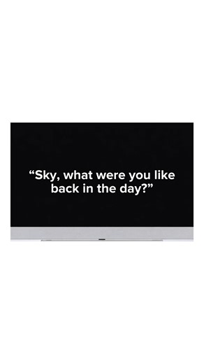 Beehive bedlam and chill?