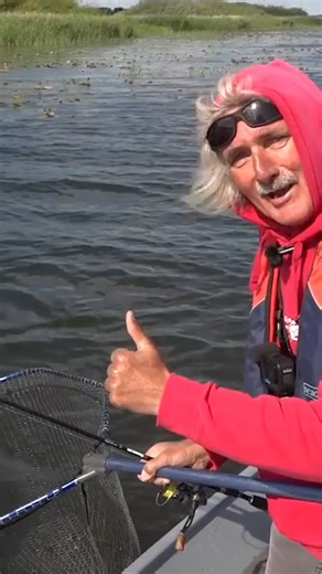 Das hast du noch nie gesehen🫢🤣!! Ein Hecht, der freiwillig ins Kescher springt😂. Oft werden tolle Momente beim Angeln nicht auf Kamera festgehalten, aber wenn sie während der Dreharbeiten von „Unser Ziel ist Fisch“ passieren, sind sie für die Ewigkeit festgehalten👌👌. Jörg fischte mit kleinem Kunstköder auf Hecht und konnte einige wunderschöne Hechte fangen, aber dieser Hecht war der Highlight, weil er eine Show abzog – einfach großartig🔥😎! #fishing #fishingtips #angeln #angler #gonefishin