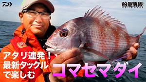 コマセマダイ釣法で東京湾の乗っ込み大ダイを攻略！ | 船最前線 - DAIWA CHANNEL