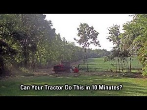 Land Clearing - FTX 128 Forestry Mulcher - Fecon