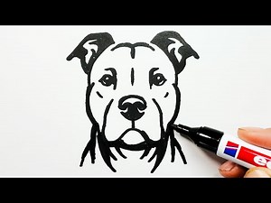 How to Draw a Pitbull