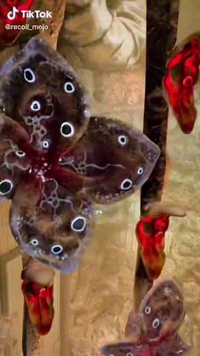 Half-Life Alyx Gameplay Clips in Virtual Reality