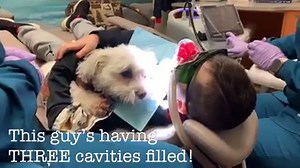 23K views · 203 reactions | While he needed three cavities filled,...