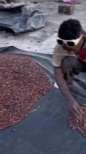 47K views · 359 reactions | Quand il est chez lui, le prof de Maths s’amuse à compter les milliers de graines… même les cacahuètes n’y échappent pas !  | Exercices et Cours Sciences , Sciences de l’ingénieur Sénégal | Facebook