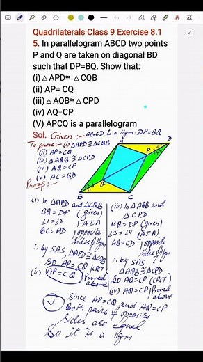 Quadrilaterals Class 9 One Shot | Exercise 8.1 Full Solutions | NCERT Maths Chapter 8