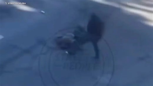 New video shows moments before brutal Beverly Hills murder where man was beaten, run over by car