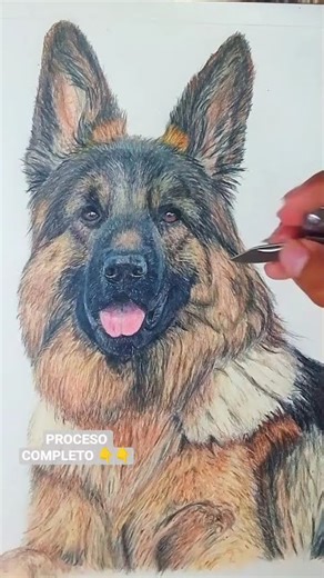 cómo dibujar un perro realista con colores #drawing #aprendiendoadibujar #art #dibujoscreativos #dog