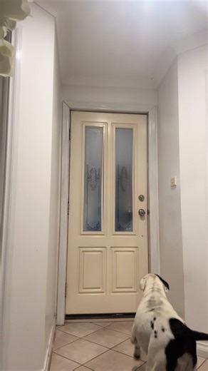 Husband Surprises Wife with Emotional Reaction