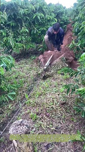 土を耕す：畑の奥深くに潜む生命のリズム