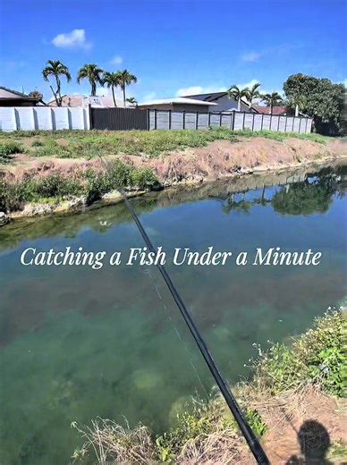 Catching a Peacock Bass in Under a Minute