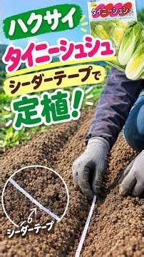 Planting Tiny Choux Napa Cabbage with Seeder Tape!🌱