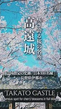 【長野／日本100名城】高遠城／咲き誇る桜の名所 - Takato Castle / A famous spot for cherry blossoms in full bloom -