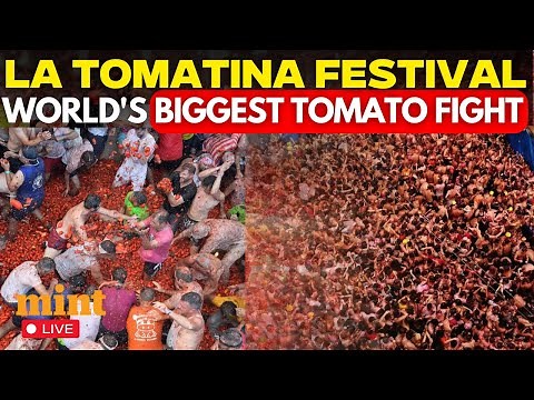La Tomatina 2025 LIVE: World’s Biggest Tomato Fight in Bunol | Spain Tomato Festival | Latomatina