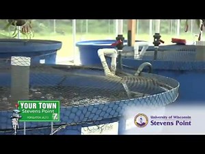 This is a 30 second TV spot produced during the International Aquaponics Conference at University of Wisconsin-Stevens Point. It explains aquaponics and features Nelson and Pade's demonstration greenhouse. www.aquaponics.com As part of the UWSP - Nelson and Pade Partnership, participants in the Aquaponics Master Class can earn University credit for attending. http://aquaponics.com/page/aquaponics-master-class---3-days | Nelson and Pade