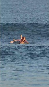 Katya Gets It In Kuta #surfersofbali #surfingbali #surfer