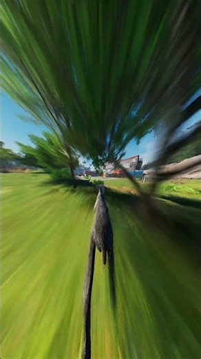 GOAT SIMULATOR REMASTERED: I LIKE SPEED