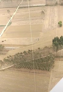 14M views · 109K reactions | Trabalhadores pelo mundo | Web TV Araguari | Facebook