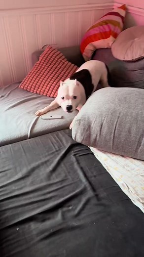 7.9K views · 108 reactions | Scary boy indeed | Einstein & moms | Facebook