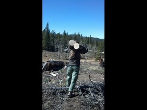 Bicycle Cargo Trailer & DIY Hitch