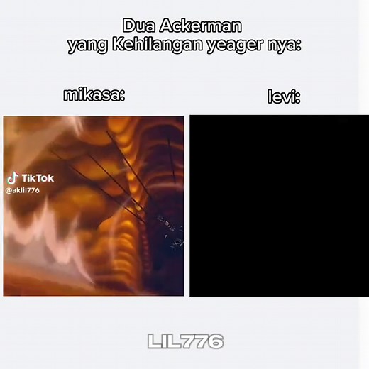 Unique AOT Memes Featuring Mikasa and Eren