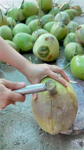 Búa đục dừa tiện lắm mấy bà #chebietnauan #review
