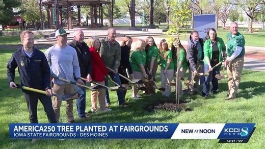 Iowa State Fairgrounds plants Bur Oak tree to celebrate America's 250th birthday, Arbor Day | Haystack News