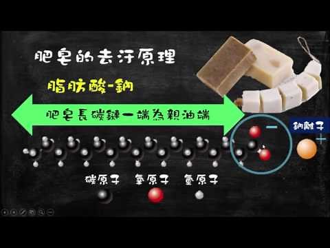 【觀念03】肥皂結構與去污原理