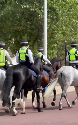 “Morning patrol in St James’s Park 🐎👮🇬🇧” #london