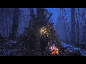 Extreme Winter Survival Camping without a Tent - No Sleeping bag