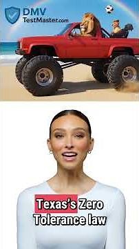 Texas Teen Driving Permit Test DMVTestMaster.com