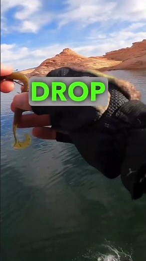 4 Steps to Easily Locate Bass Without a Fish Finder #bassfishing