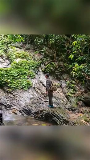 TikTok · bushcraft.speed.ytb