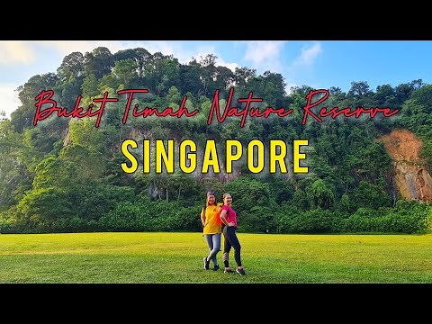 BUKIT TIMAH NATURE RESERVE Singapore