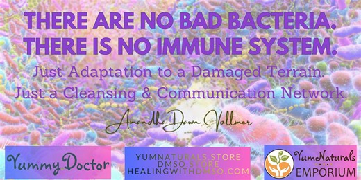 There are No Bad Bacteria. There is no Immune System. (Video)