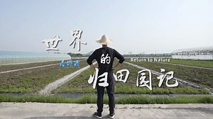 #DiscoverQiantang Liang Shijie, head of Maiteng Ecological Farm in #Qiantang district, adopted an order-based agriculture model where customers place and pay for their orders before farmers begin production, giving urban residents a chance to consume the food that's grown on the land they claim and even harvest the vegetables🥬🍄🥒 on their own. | Qiantang Vision