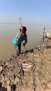 Method of catching big sharks with small mackerel bait #fishing #bait | Method of Fishing