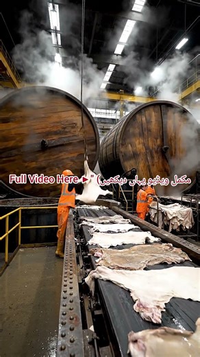 اوپر لنک پر کلک کریں Click on the link above.