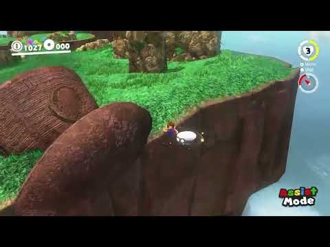 Database - Welkin Fossil