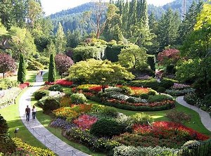 Darmowe programy do projektowania ogrodów