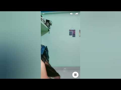 IMO Video Call Live 🔴 Tango Live Video Chat | Live Streaming Today 2025 |