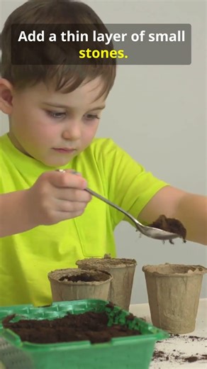 I Grew Seeds in Junk Containers—So Easy!
