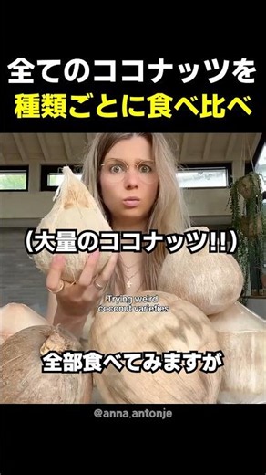 全てのココナッツを種類ごとに食べ比べ