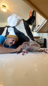 Trying to make cherry pie with Bruce! #cow #brucethecow #farm #animals | Eliasfilmz