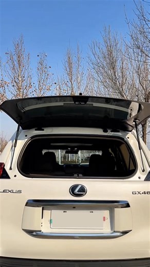 Lexus GX 460 | V8 Luxury Off-Road SUV #shorts