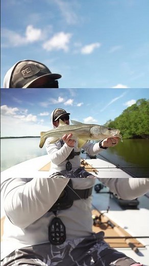 Big Built Backwater Snook | 7'6" Medium Heavy World Class #fenwickfishing #snookfishing #fishing