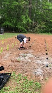 6.8K views · 67 reactions | Mrs Happy Homemaker on Reels | Facebook