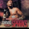 David Flat Sparks aka The Mad Boxer (@david.flat.sparks) • Instagram photos and videos