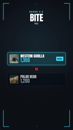 Western Gorilla vs Polar Bear — Who Wins the Brutal Fight? #Shorts